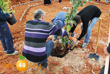 a3malteybeortlud (42).jpg